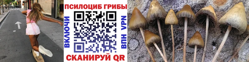 Галлюциногенные грибы Magic Shrooms  наркота  Отрадное 